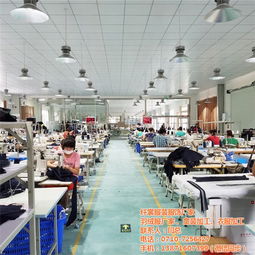 定制女士西裝 天門(mén)女士西裝 纖裳服飾 查看